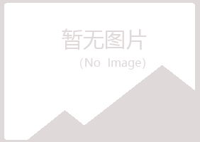 大新县心事美容有限公司